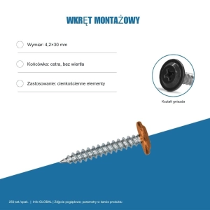 Wkręt montażowy Info-GLOBAL MC 4,2×30 mm, kolory RAL, 250 szt. Wkręt montażowy Info-GLOBAL MC 4,2×30 mm, kolory RAL, 250 szt.